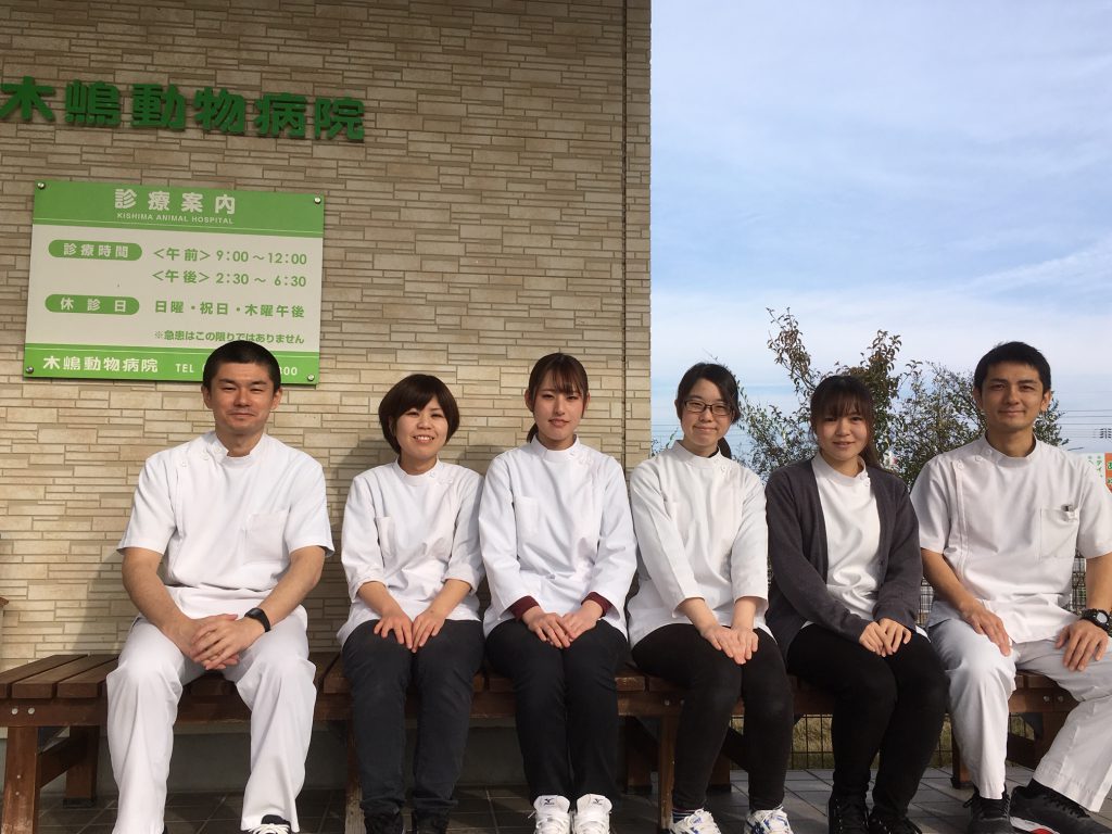 スタッフ集合写真